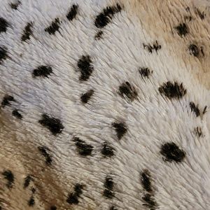 Meet your Posher, Emery